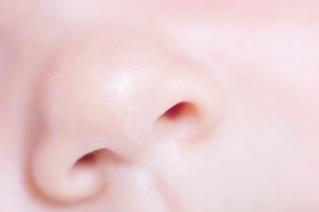 Baby nose