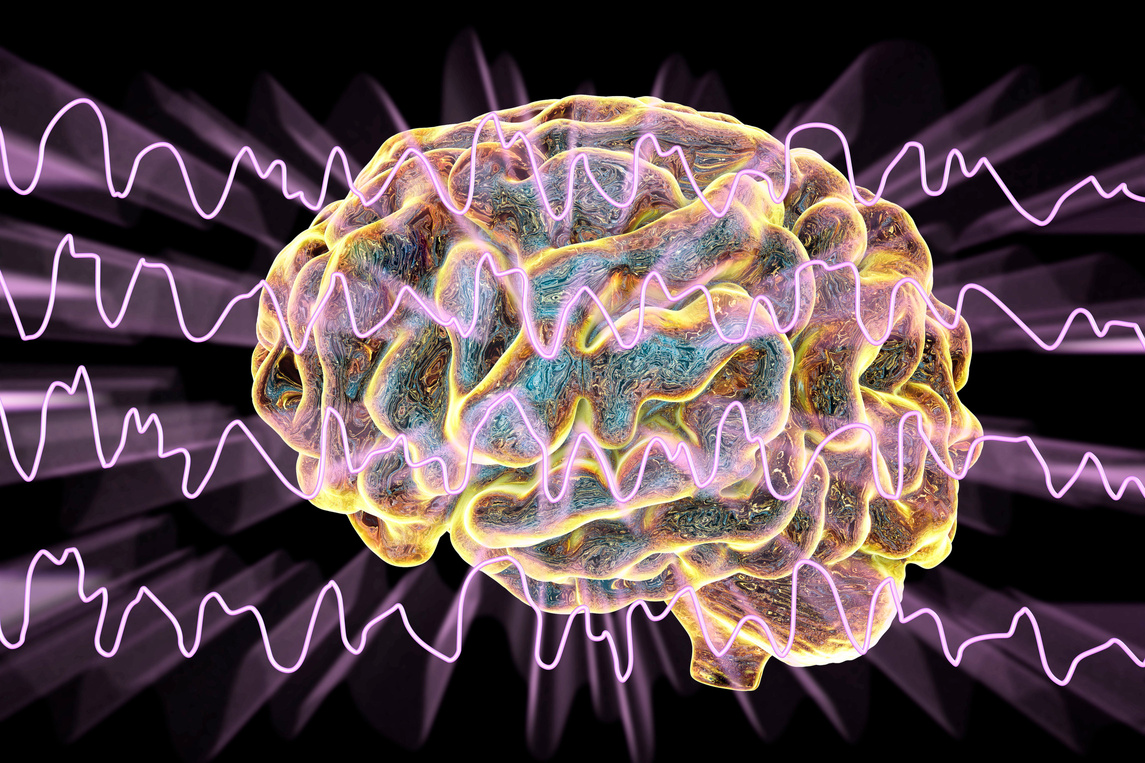 "Brain and brain waves during sleeping